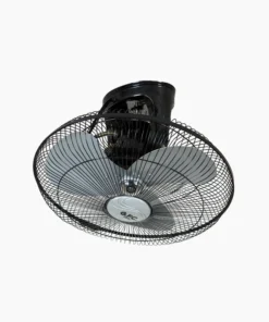 Circle Fan
